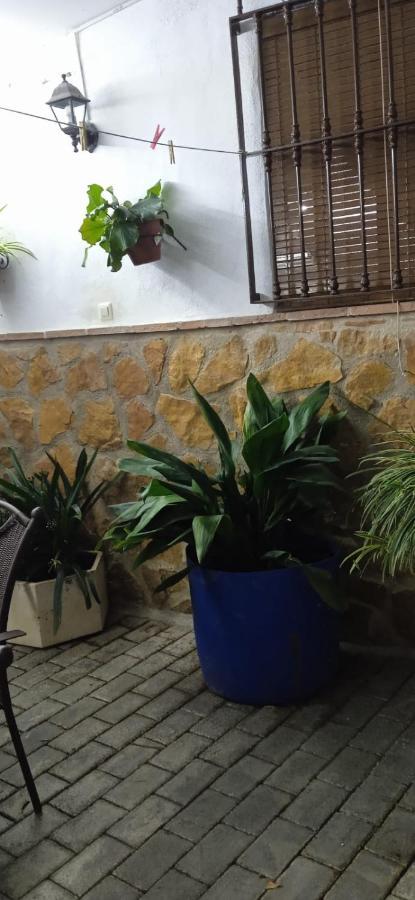 Casa Cueva El Almendro Pension Pegalajar Buitenkant foto