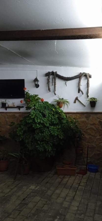 Casa Cueva El Almendro Pension Pegalajar Buitenkant foto