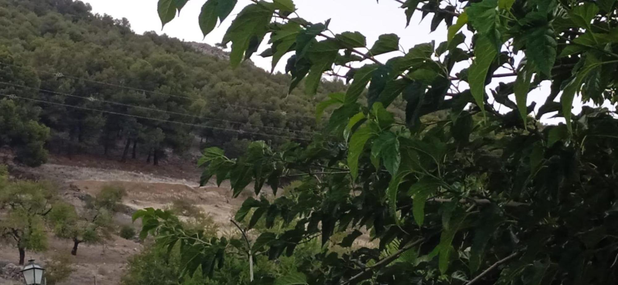 Casa Cueva El Almendro Pension Pegalajar Buitenkant foto